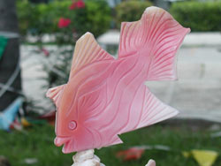 conch shell art and crafts