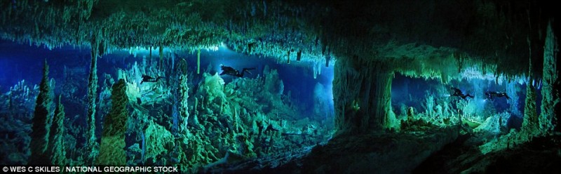 james cameron cave movie. Dan#39;s Cave in Abaco, Bahamas