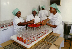 women bottling