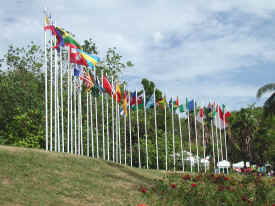 International flags