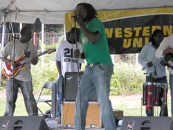live entertainment