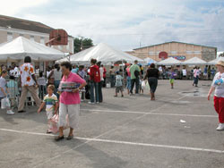 lovely weather for a fair