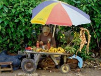 cuban-farmer