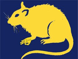PLP thugs and rats