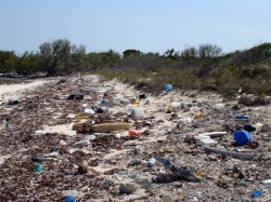 garbage-beach litter on beach