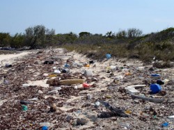 litter on beach