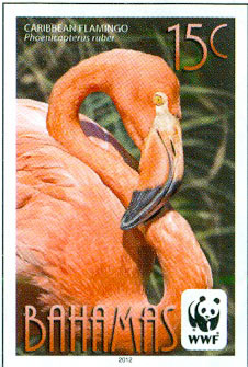flamingo-stamp