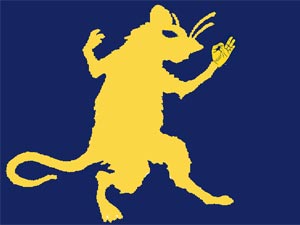 plp-rat-violent