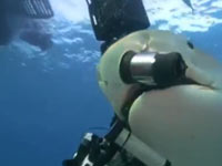 shark-camera