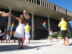 New Gay Marriage Law