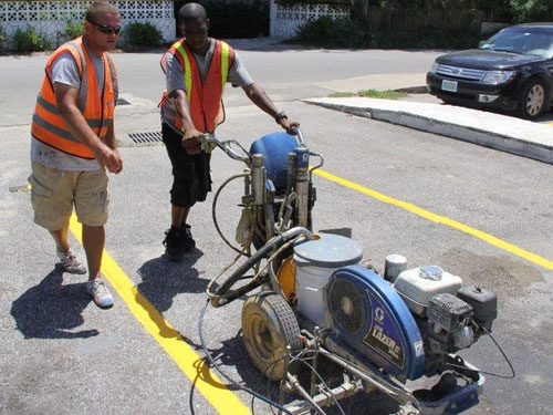 bahamas-striping-humane-society-2