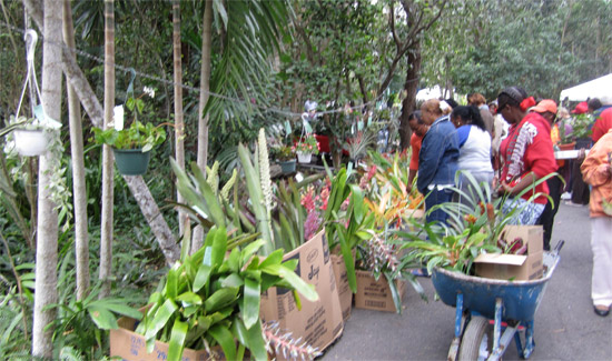 horticulture-show-bahamas