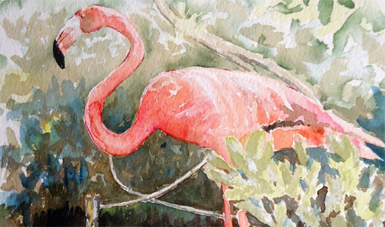 flamingo-detail-katrina-vanderlip