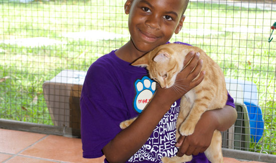 baark-bahamas-humane-society-1