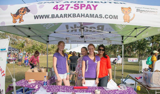 baark-bahamas-strut-your-mutt-laura-kimble-welcome