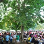 Botanical Gardens