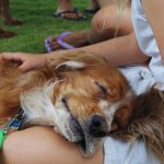 Sleeping Beauty