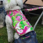 Poodle Style