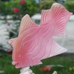 Conch Fish