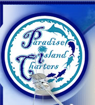 Paradise Island Charters