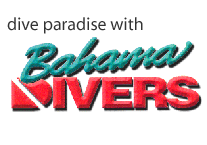 Bahama Divers