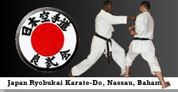Traditional Karate Center