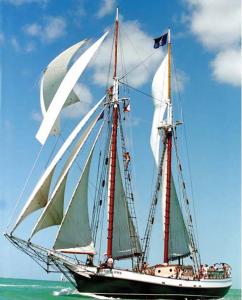 Liberty Fleet of Tall Ships