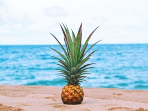 7 Hydrating Foods to Eat This Summer
