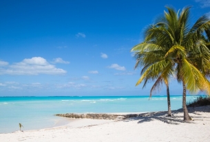 7 Top Things to Do in the Bahamas 2024