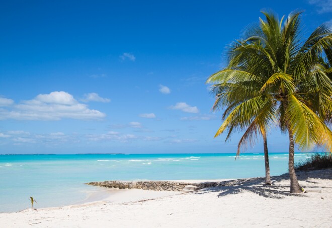 7 Top Things to Do in the Bahamas 2024