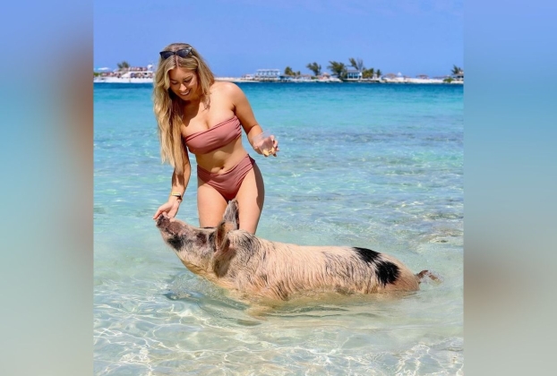 Tiffany Stanley says swimming with pigs on Bahamas beach was ‘dream come true’