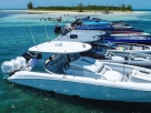 Mystic Owners Bahamas-Hopping This Week