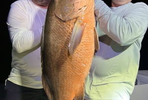 Catch of the Week: Fishing is on fire locally and in The Bahamas